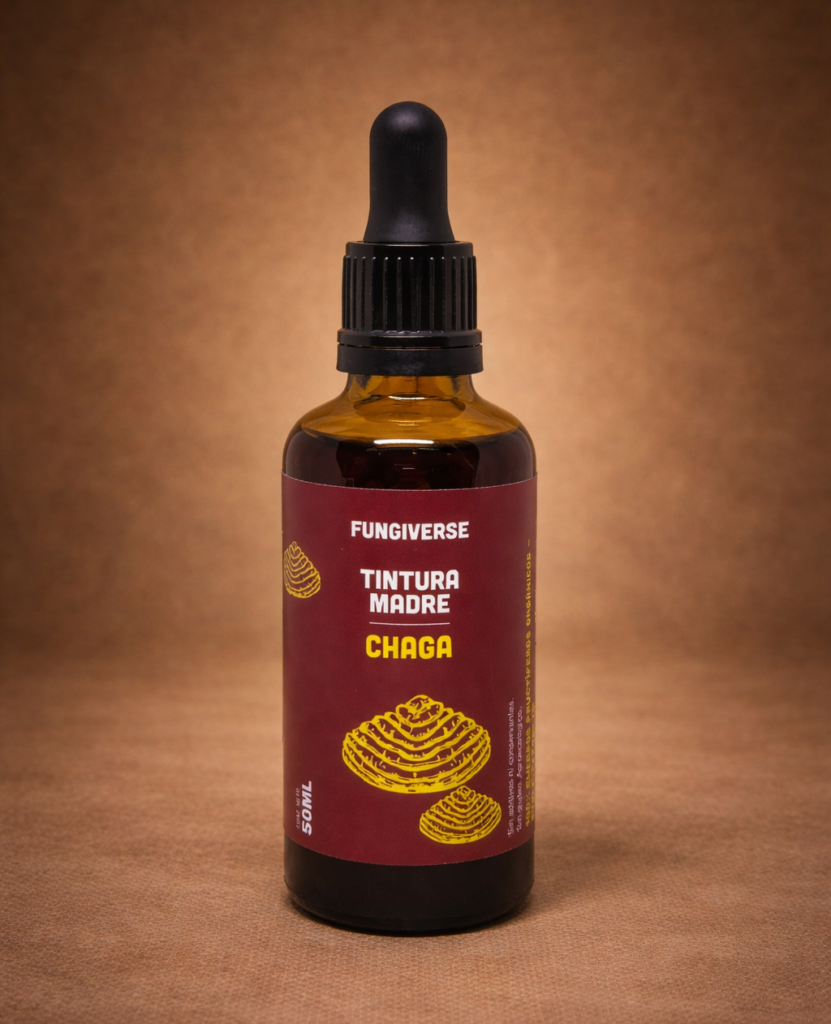 Chaga – Tinturas madre